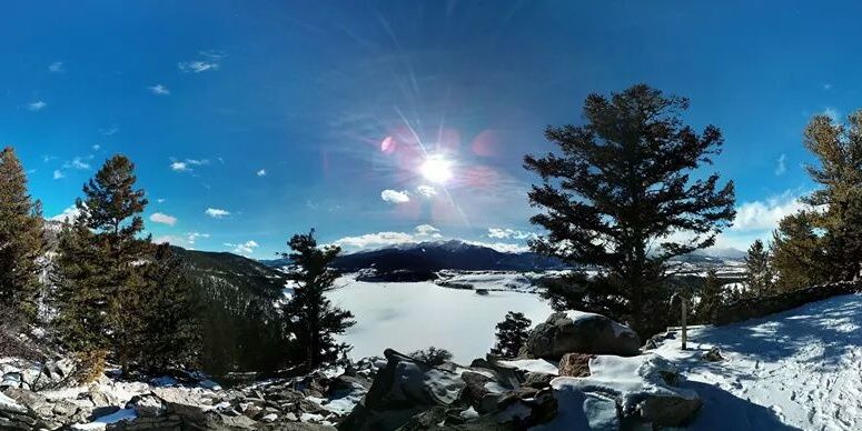 Snow Kitten Meow banner