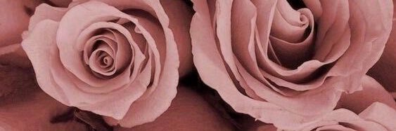 cindyyydavis's profile banner image