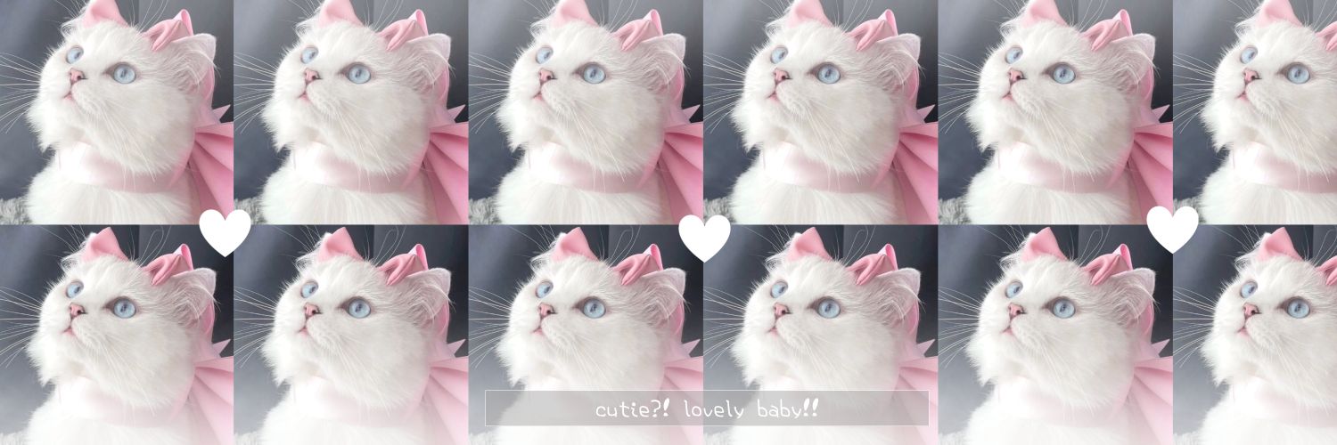 bibah` BiBi ~🦆🐰 banner