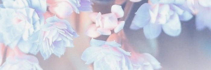 Monostan__'s profile banner image