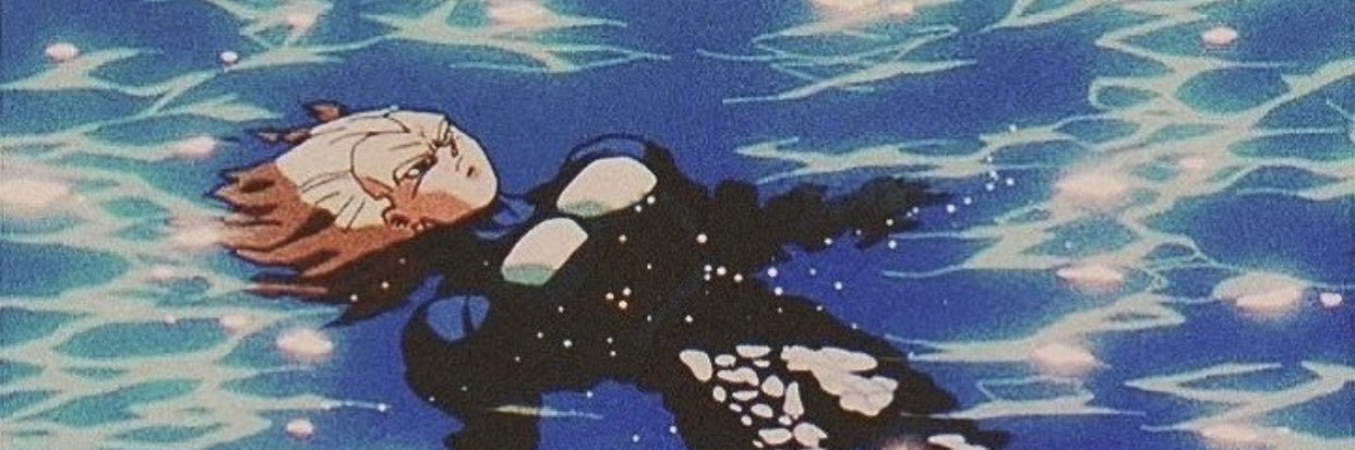 🦉 banner