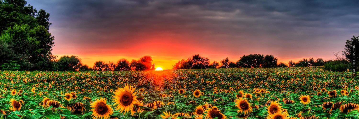 Miguel Angel 😈 banner