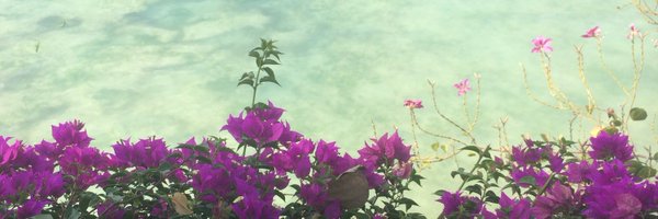 paulagonu Profile Banner