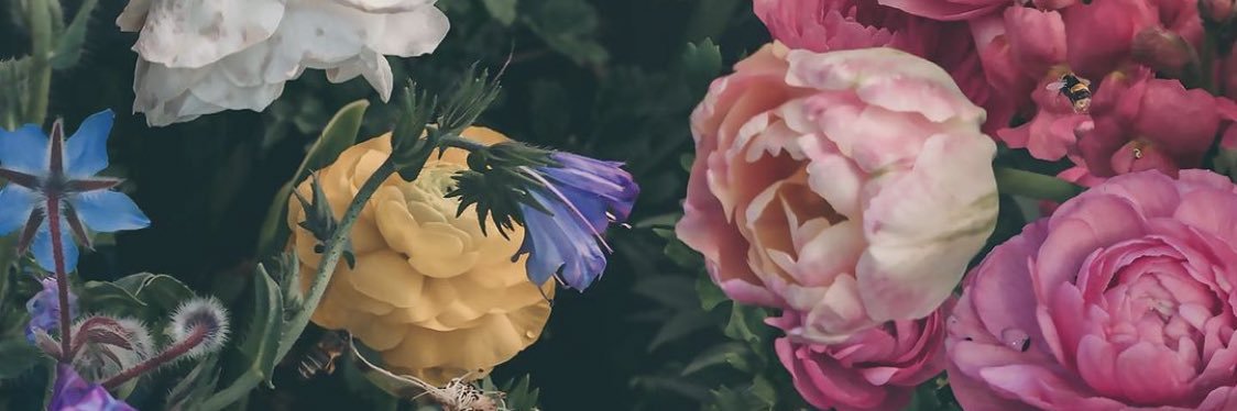 lmilo23's profile banner image