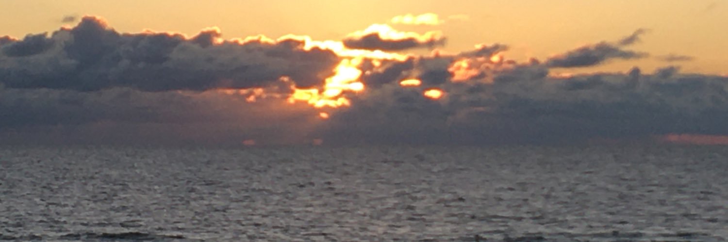 pgalvin13126's profile banner image