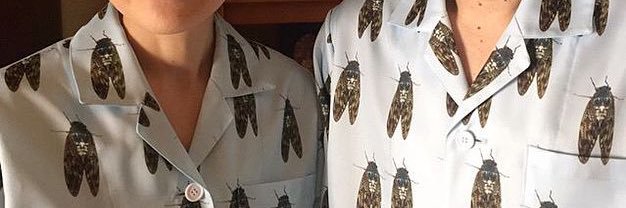 べっこ班®🐻‍❄️🐱🐰 banner