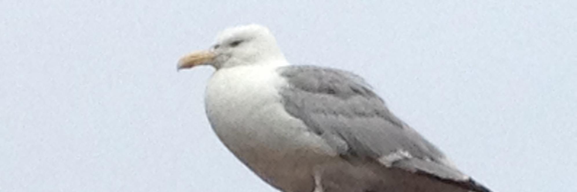 karioet's profile banner image