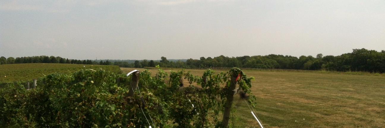 Brendan Kennedy banner