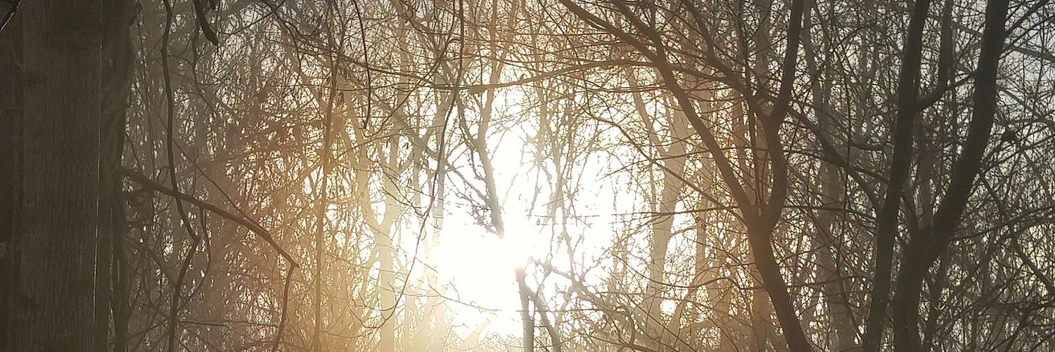 halfapearQ's profile banner image