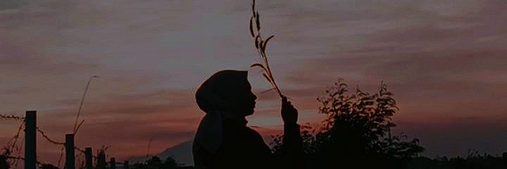 teehtariik's profile banner image