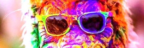 dudu_franco's profile banner image
