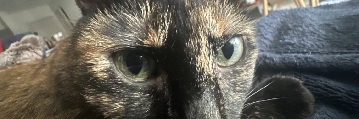 SariahArnold's profile banner image