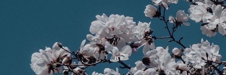 ghearestha's profile banner image