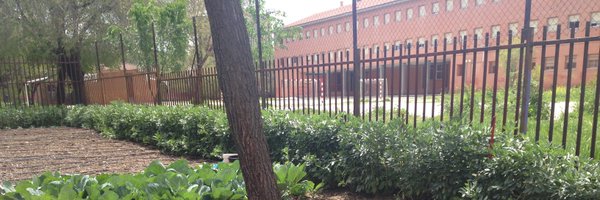 iesmpelayo Profile Banner