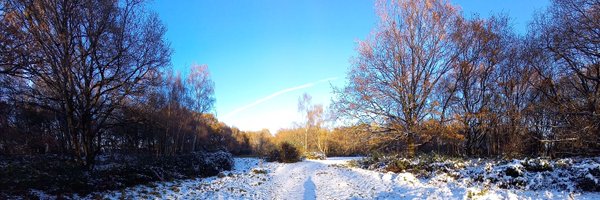 ButcherAntony Profile Banner