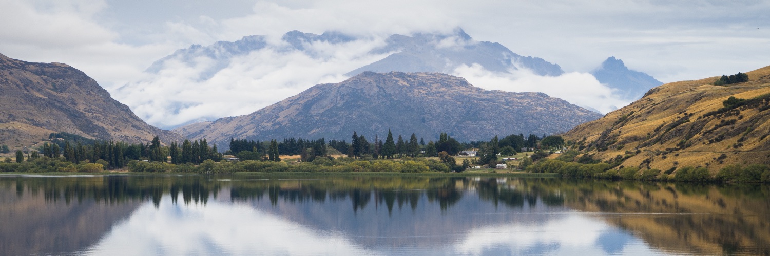 Rona Thompson banner