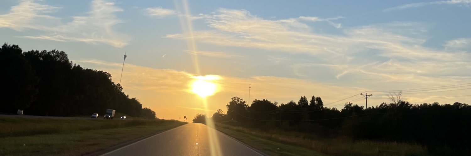 lmartens291's profile banner image