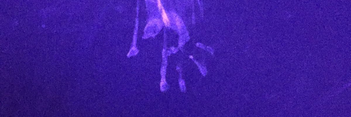 Killah9's profile banner image