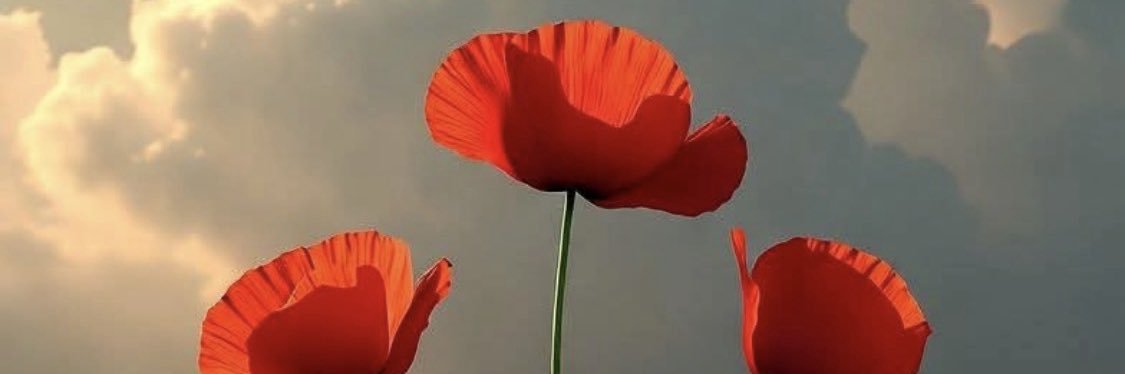 Faye Dem Force banner