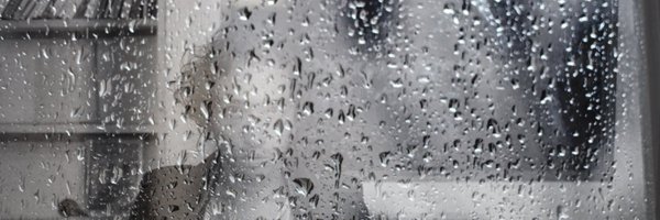sylianrue Profile Banner