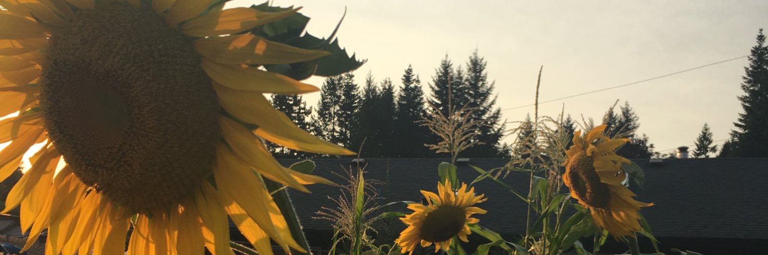 practicallyhip's profile banner image