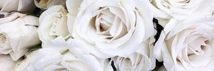 JadieKara's profile banner image