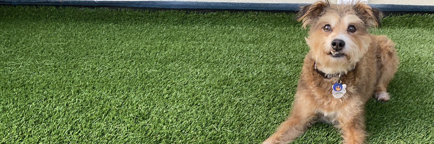 𝚃𝚘𝚍𝚍 𝙰 banner