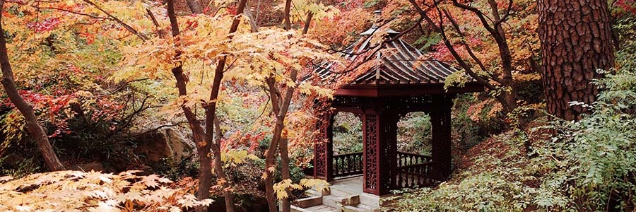 Seoul_Museum's profile banner image