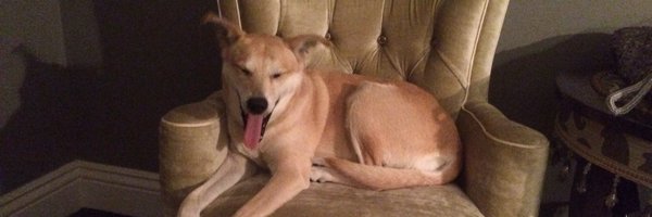 Northernjez Profile Banner