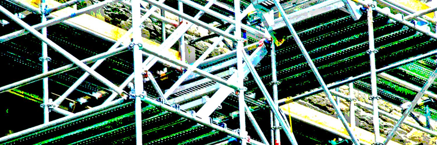 Scaffold & Access Industry Association banner