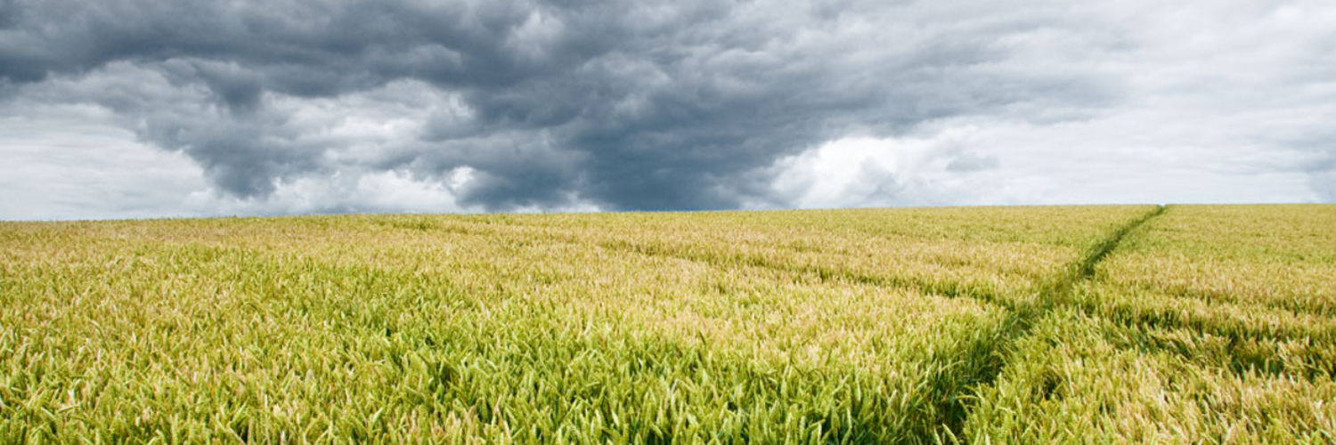 paallard's profile banner image