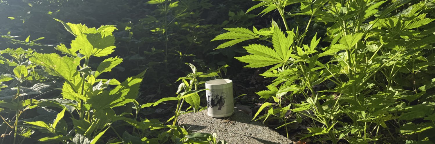 WeedManDC's banner