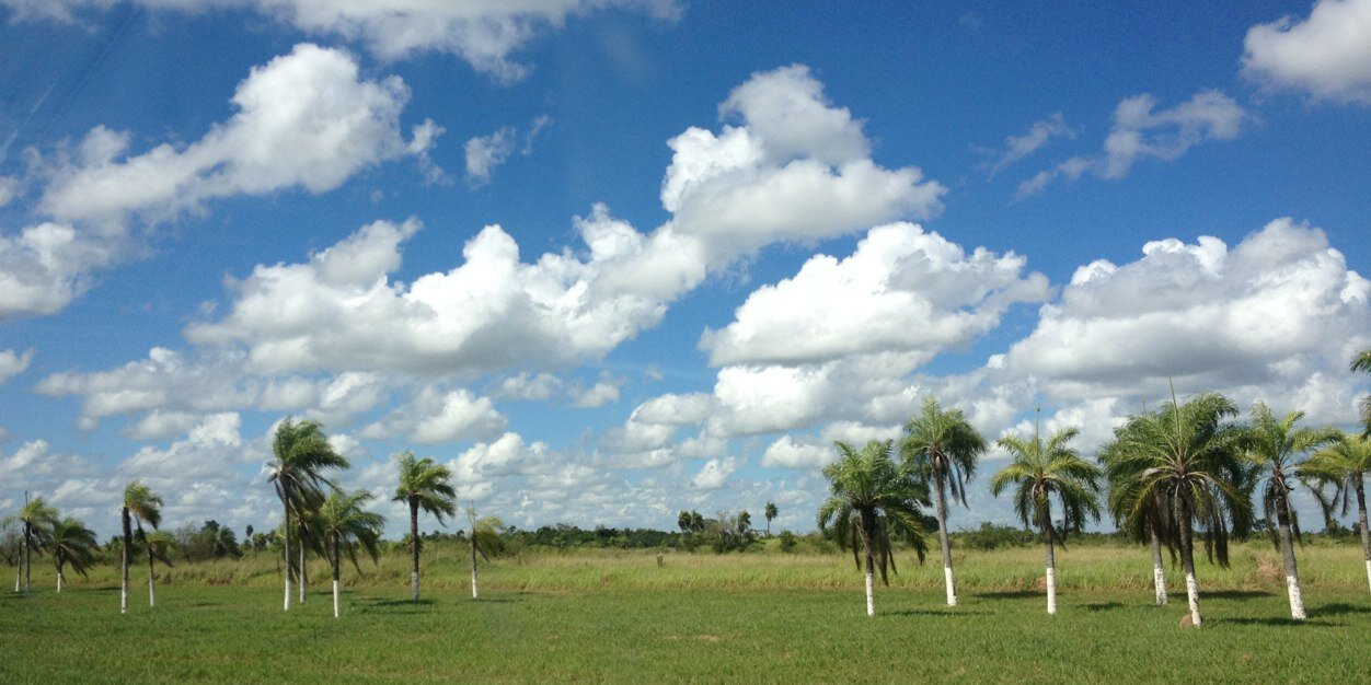Andrés Rodríguez R. banner