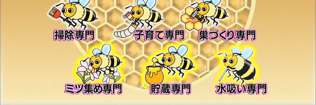 🍯みつあつめ72感謝祭🐝 banner