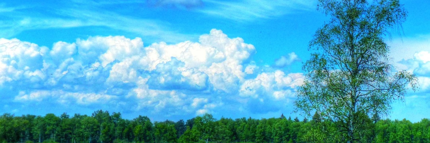 coconoe_99's profile banner image