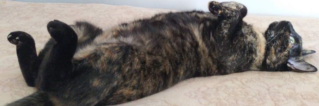 Luigi Ruffolo banner