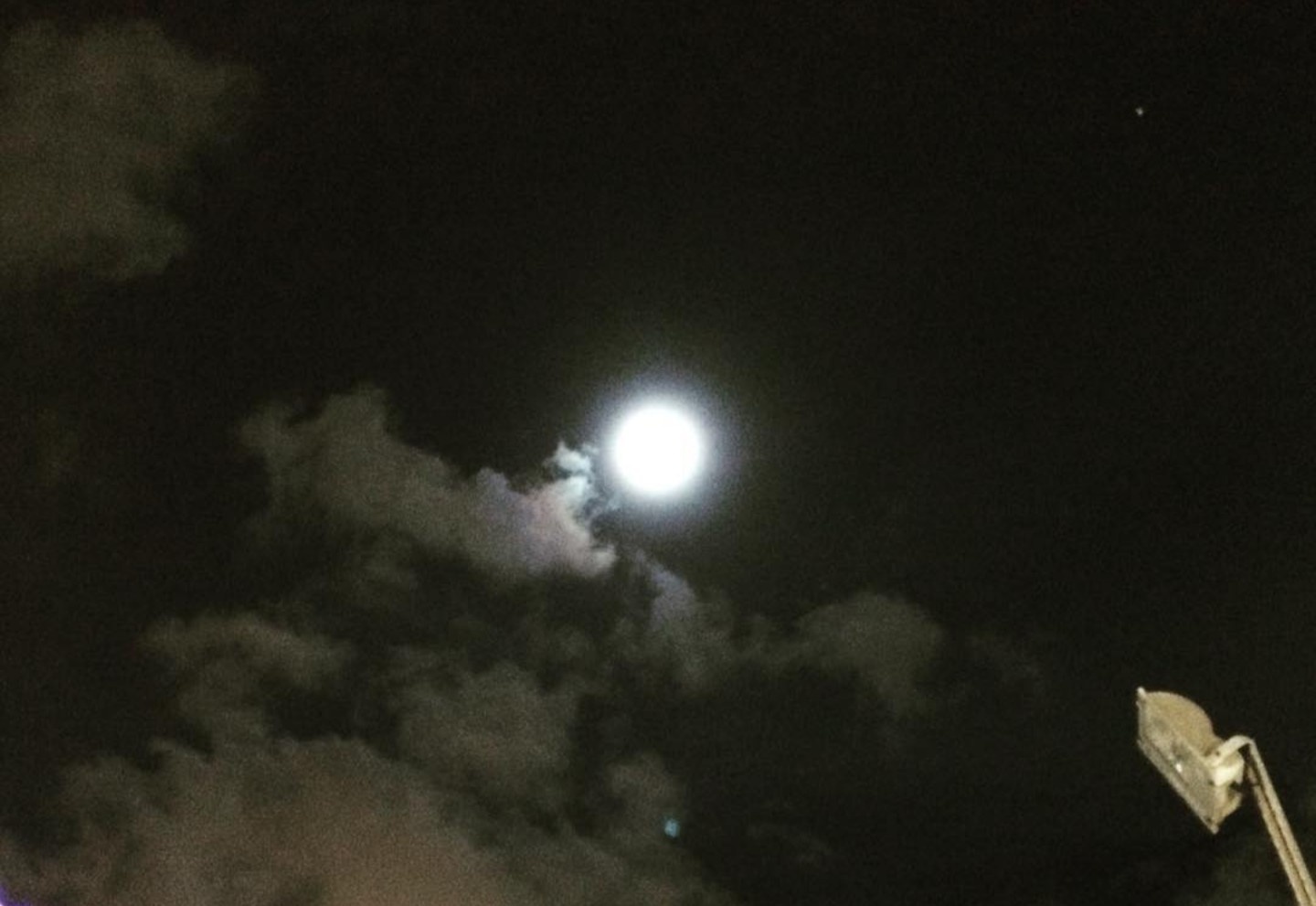 やまこ🌱ﾍｱﾄﾞﾈｰｼｮﾝ挑戦中 banner