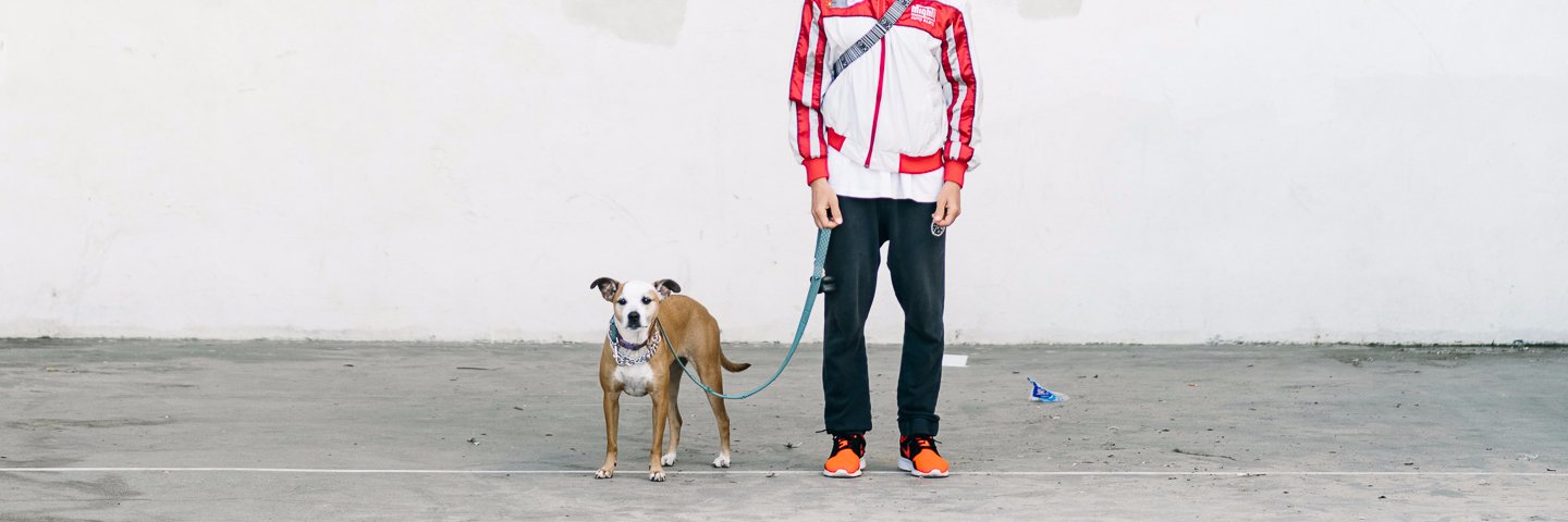 MikeTanLines's profile banner image
