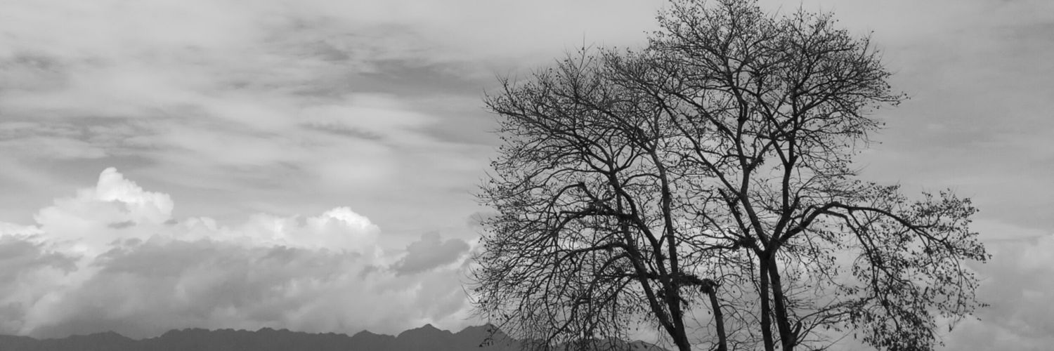 alwaysdobest's profile banner image