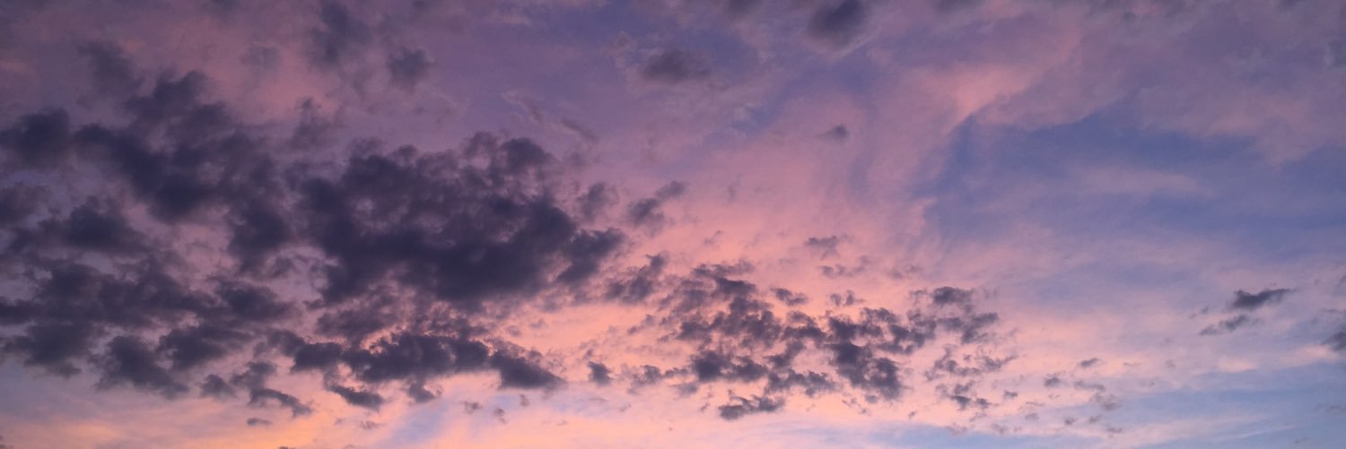 jade_beebs's profile banner image