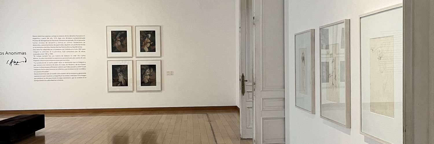 delfinapiva's profile banner image