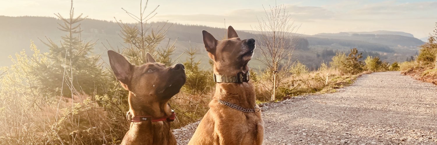 Kaylee__21's profile banner image