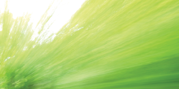 trghire's profile banner image