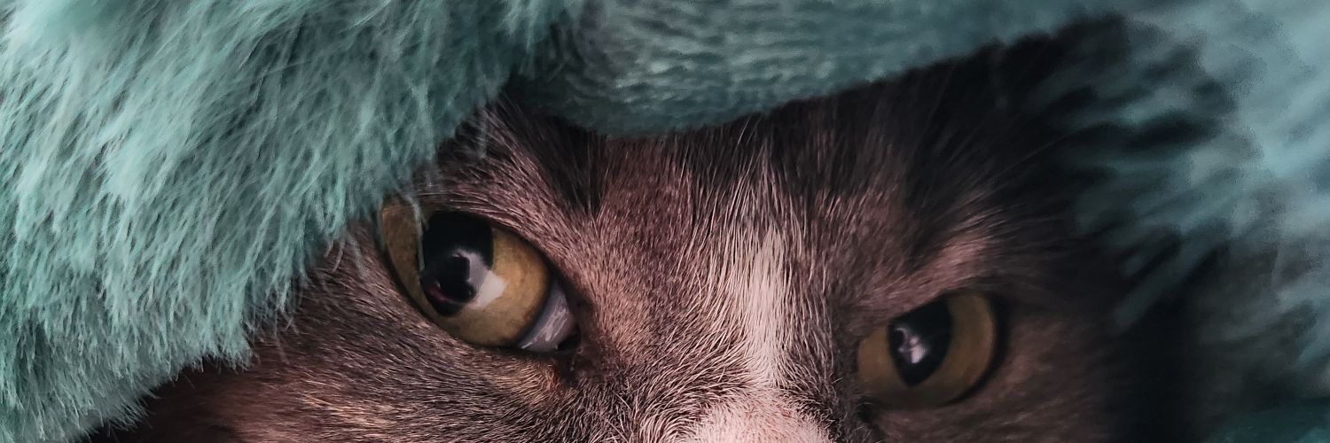 Alasterlian 🇨🇦🫡 banner