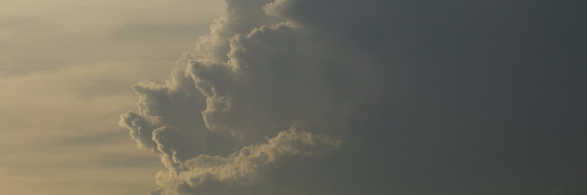 xTessieM's profile banner image