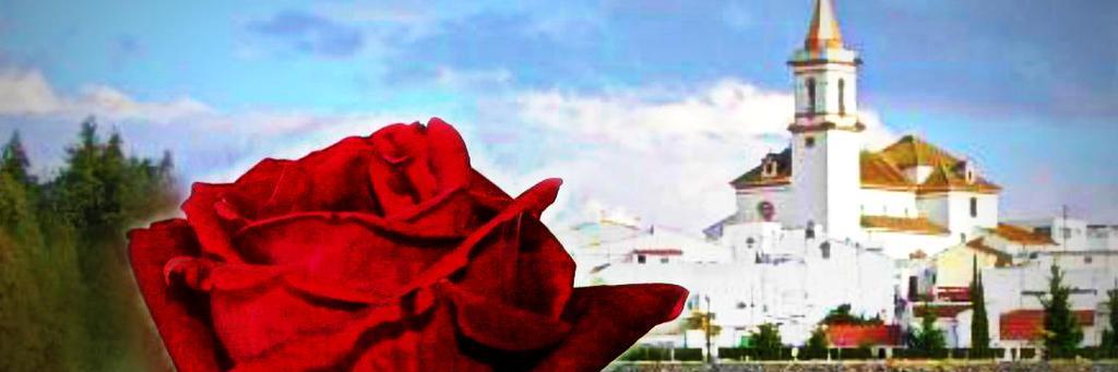 psoegibraleon's profile banner image