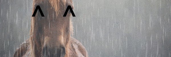 zelckip's profile banner image