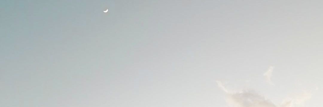 _caresh's profile banner image