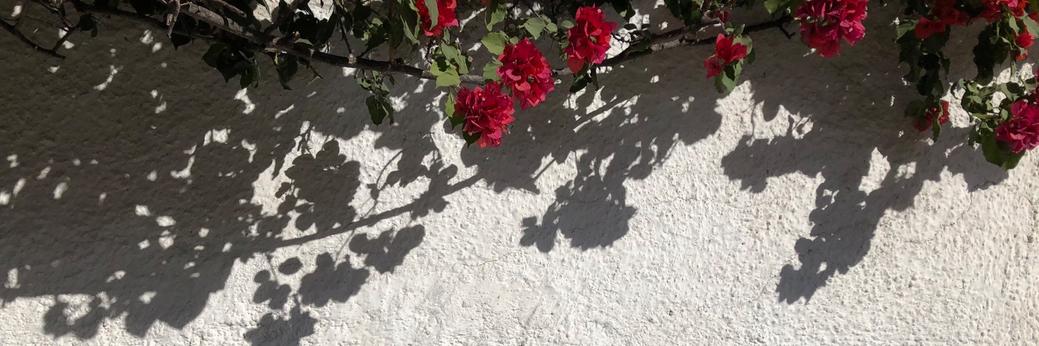 racheljansen's profile banner image