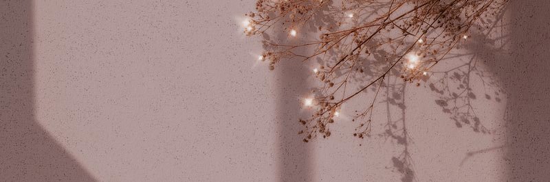 ilomilocth's profile banner image